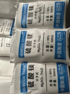 微信图片_20250718154810