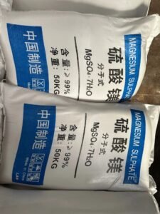 微信图片_202507181548111